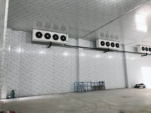 漳州提供速凍冷藏庫設計