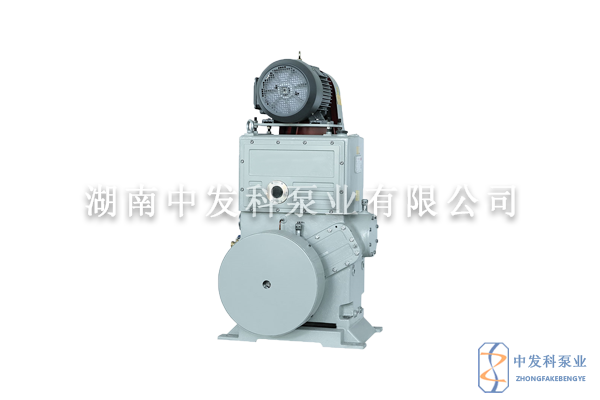 杭州国产真空泵的生产厂商