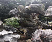 無錫太湖石