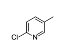 東南亞2-氯-5-甲基吡啶2-Chloro-5-methylpyridine