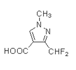 歐洲3-(二氟甲基)-1-甲基-1H-吡唑-4- 羧酸3-(Difluoro methyl)-1-methyl-1H-pyrazole-4-carb oxylicacid