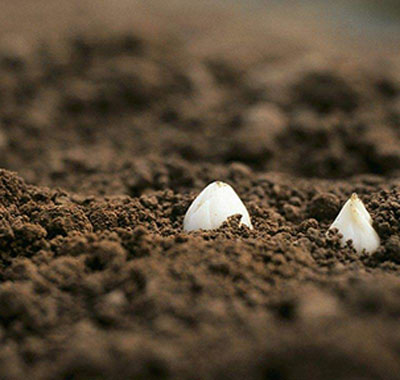 土壤檢測取土的方法與步驟講解