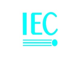 肇慶IEC報告