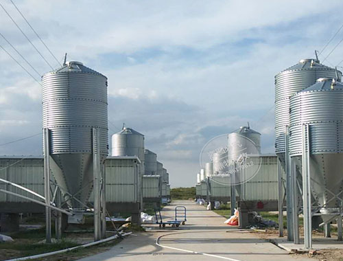 江蘇專業自動化養殖設備價格