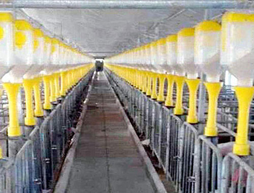 扬州专业自动化养殖设备批发