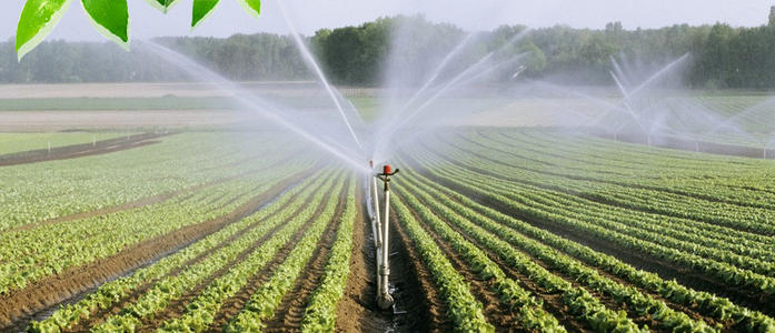 節水灌溉