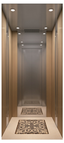 简约柔和 XD-ZJ02A别墅电梯