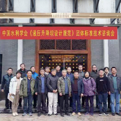 中國水利學會《液壓升降壩設計規范》技術咨詢會