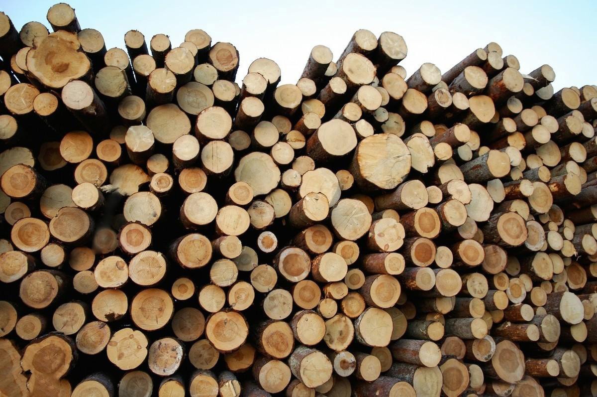 紹興定制原木加工價格
