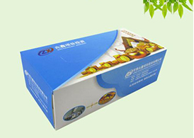 內蒙古餐紙盒