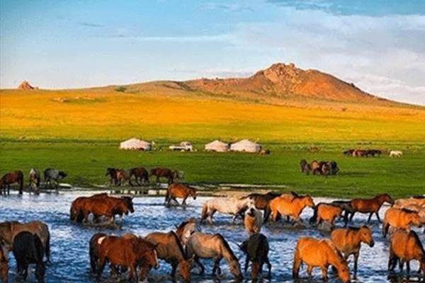 天津在哪有蒙古國私人定制旅游咨詢