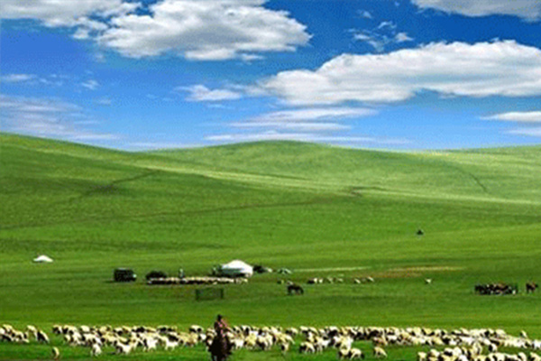 青海哪里有蒙古國探險旅游咨詢