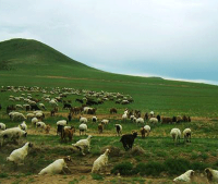 商洛蒙古國旅游