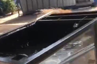 玻璃鋼養魚池試水視頻