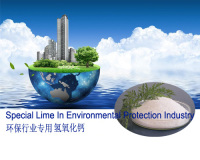 宜昌环保行业专用氢氧化钙