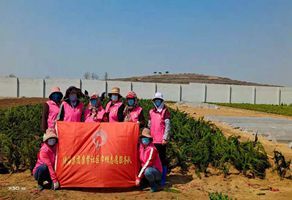 康馨社区巾帼志愿服务队开展义务植树活动