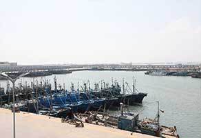 沙窝岛中心渔港休渔期渔港渔船管控有力,秩序井然