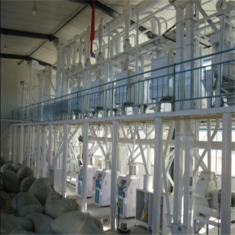 昌江黎族自治縣日加工玉米80噸聯產生產線