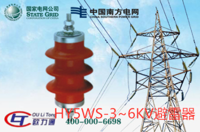 HY5WS-3~6KV锌避雷器