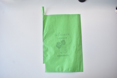 吉林陽光玫瑰綠色袋