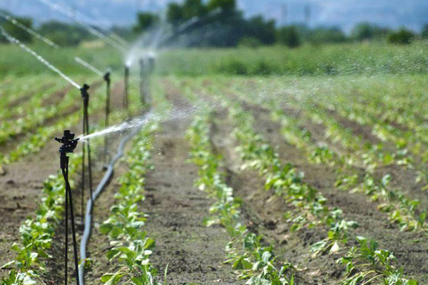 赤峰优质节水智能灌溉解决方案