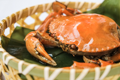 “蟹中之王”黄油蟹是病蟹吗？