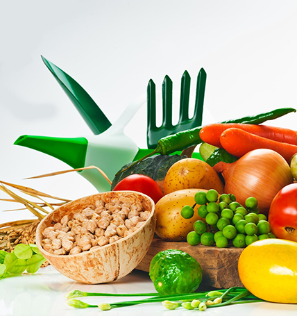 食堂管理:蔬菜可以儲存多久？如何保存？怎么辨別蔬菜是否新鮮？