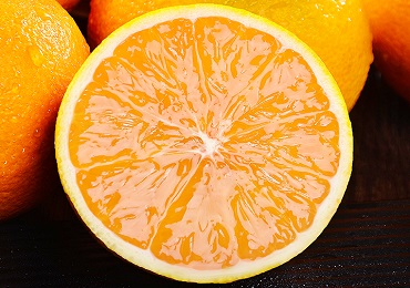 臍橙選購需要注意哪些問題，臍橙價錢是多少？