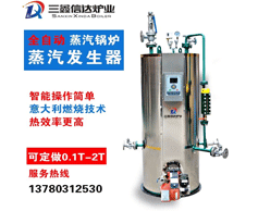上海燃氣蒸汽發生器商用鍋爐小型全自動蒸汽鍋爐熱水鍋爐生物質家用