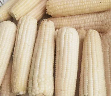 速凍甜玉米直銷價格,速凍甜玉米粒批發,速凍甜玉米廠家
