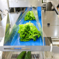 生鲜蔬菜包装机