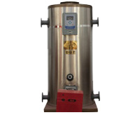LHS系列立式燃油 (气)热水锅炉